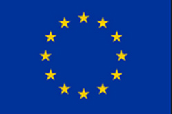 EU Flag